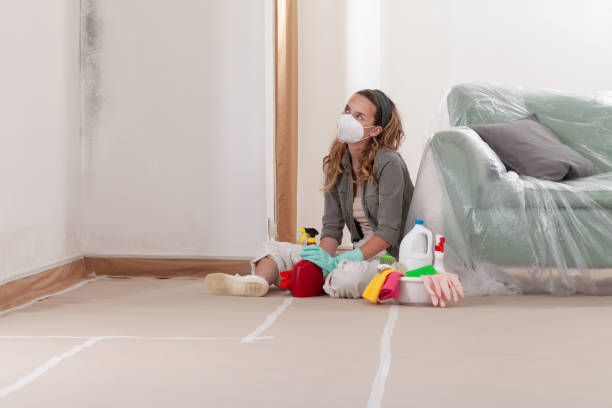 Reliable Crawl Space Mold Removal contractor in New Windsor, MD by WQB Mold Removal